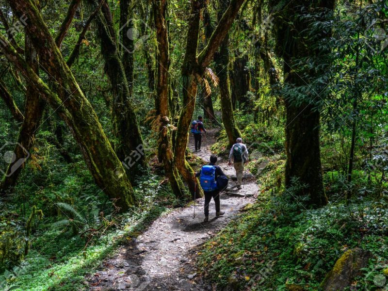 Pokhara, Nepal - Oct 21, 2017. People trekking at deep forest near Annapurna Massif, Nepal.