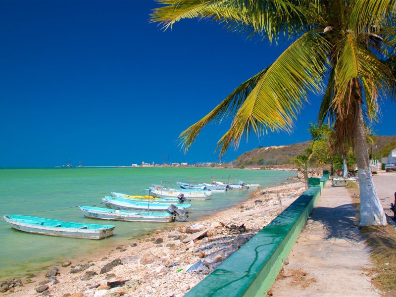 245412-Campeche