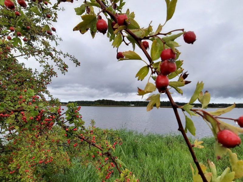 IMAGE 2023-10-21 12:16:36