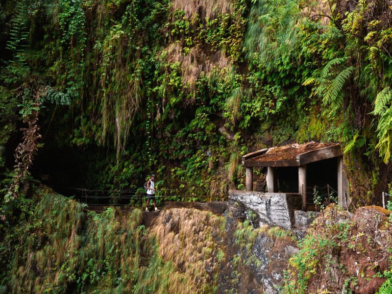 Levada-da-Ribeira-da-Janela-03199