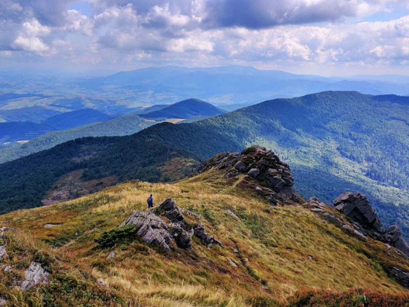 pikuj