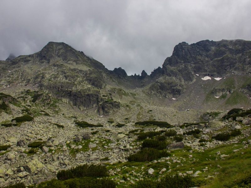 tild6639-3435-4366-b963-356337653162__67376299_71828579527