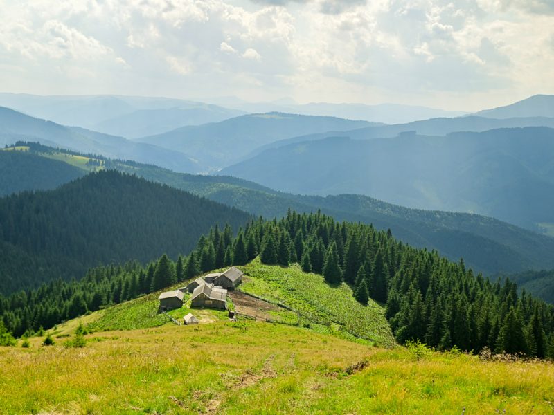 verkhovynalife-skopova-1-1